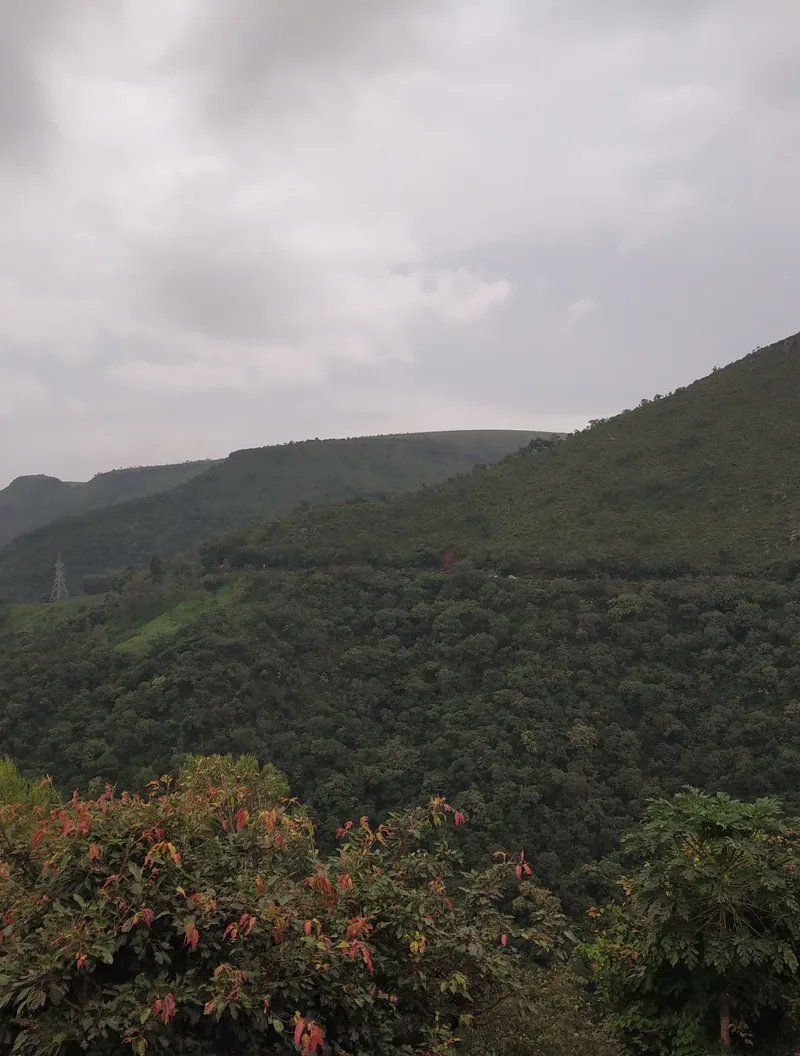 Araku Valley viewed from Galikonda View Point