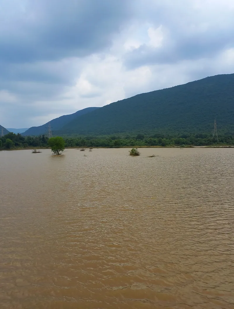 View of Kambalakonda Wildlife Sanctuary from Adavivaram pond