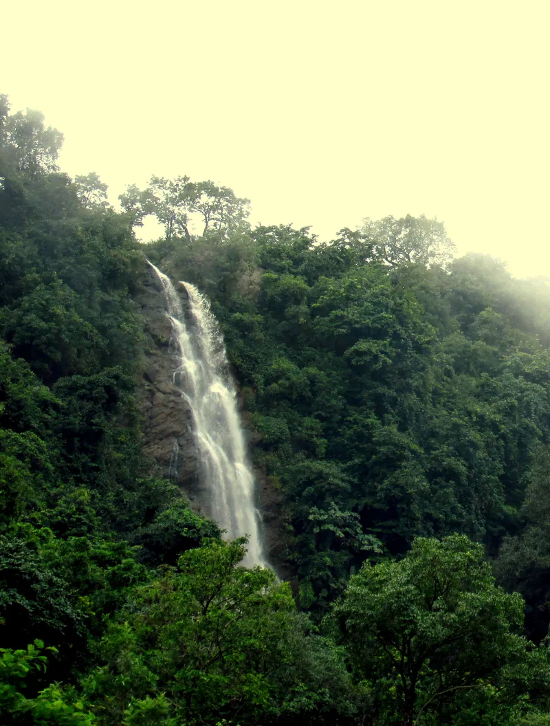 Katiki Waterfall in the Araku region of Andhra Pradesh